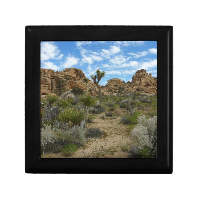 Barker Dam Loop Trail at Joshua Tree National Park Gift Box (Front)