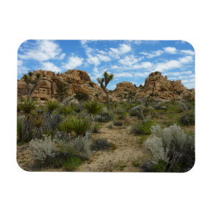 Barker Dam Loop Trail at Joshua Tree National Park Magnet