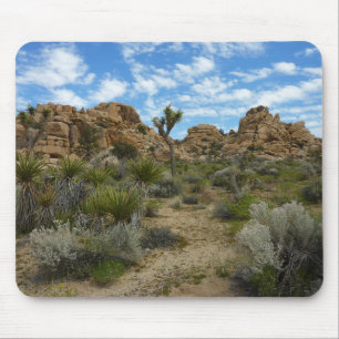 Barker Dam Loop Trail at Joshua Tree National Park Mouse Pad