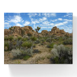 Barker Dam Loop Trail at Joshua Tree National Park Paperweight