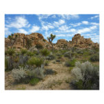 Barker Dam Loop Trail at Joshua Tree National Park Photo Print