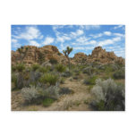 Barker Dam Loop Trail at Joshua Tree National Park Postcard