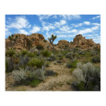 Barker Dam Loop Trail at Joshua Tree National Park Poster