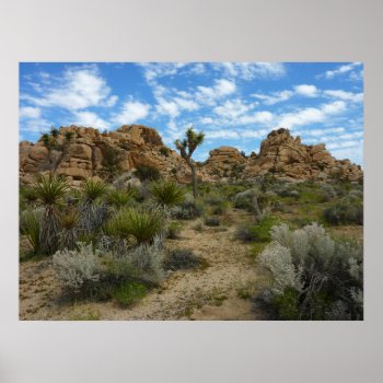 Barker Dam Loop Trail At Joshua Tree National Park Poster by mlewallpapers at Zazzle