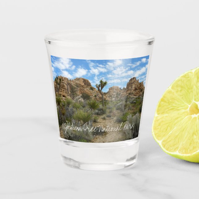 Barker Dam Loop Trail at Joshua Tree National Park Shot Glass (Front)