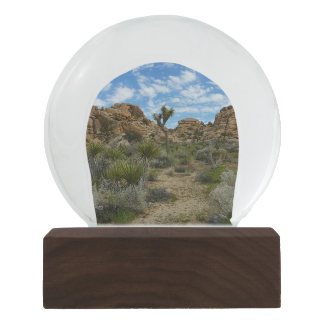 Barker Dam Loop Trail at Joshua Tree National Park Snow Globe (Front)