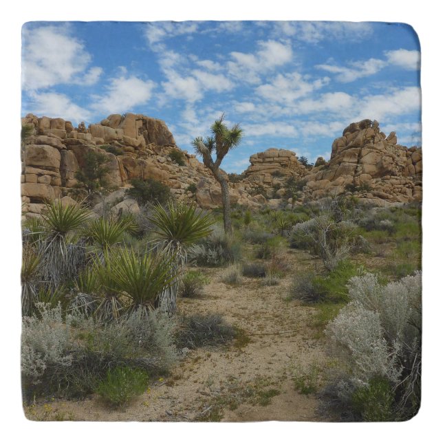 Barker Dam Loop Trail at Joshua Tree National Park Trivet (Front)