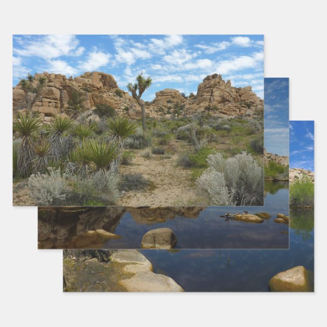 Barker Dam Loop Trail at Joshua Tree National Park Wrapping Paper Sheets (Set)