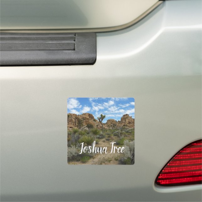 Barker Dam Loop Trail Car Magnet (In Situ)