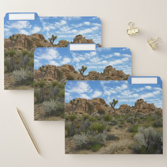 Barker Dam Loop Trail File Folder (Set)
