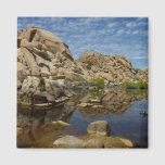 Barker Dam Reflection at Joshua Tree I Magnet