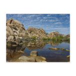 Barker Dam Reflection at Joshua Tree I Postcard