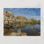 Barker Dam Reflection at Joshua Tree I Postcard