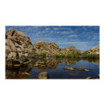 Barker Dam Reflection at Joshua Tree I Poster