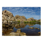 Barker Dam Reflection at Joshua Tree I Poster