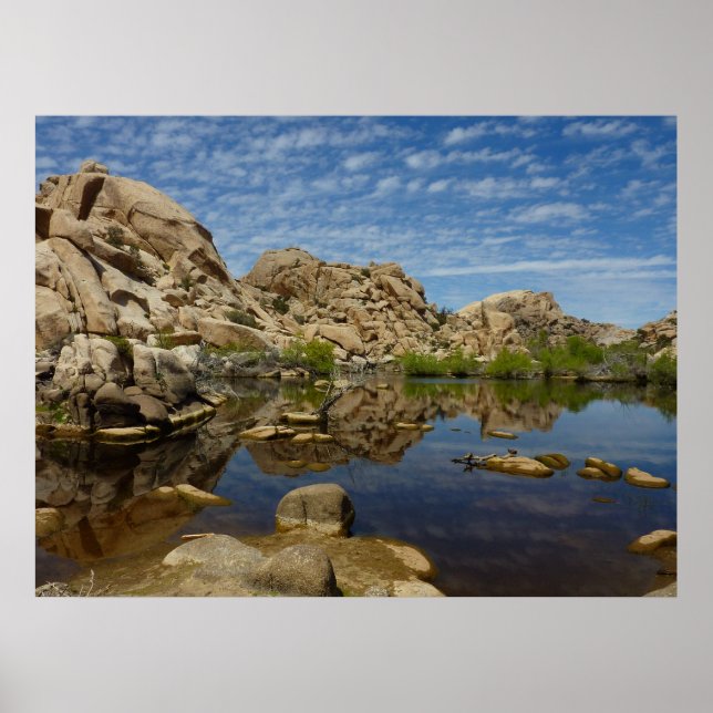 Barker Dam Reflection at Joshua Tree I Poster (Front)