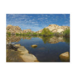Barker Dam Reflection at Joshua Tree II Postcard