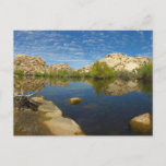 Barker Dam Reflection at Joshua Tree II Postcard