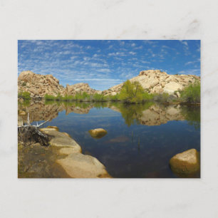 Barker Dam Reflection at Joshua Tree II Postcard