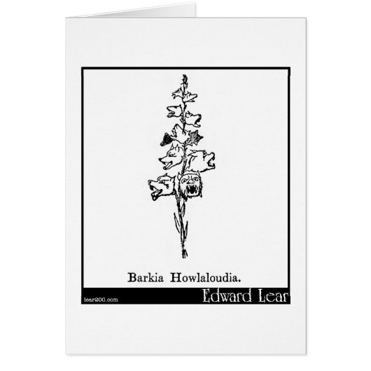 Barkia Howlaloudia. Cards (Front)