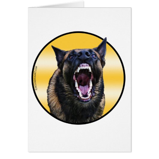 Barking Belgian Malinois "Maligator" Cards (Front)