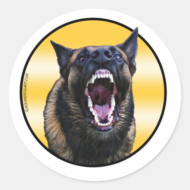 Barking Belgian Malinois "Maligator" Classic Round Sticker (Front)