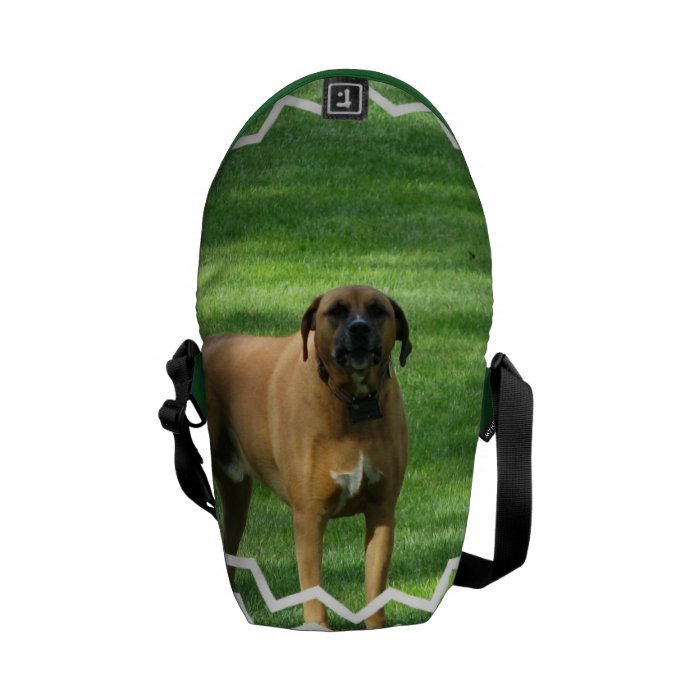 Barking Boxer Messenger Bags