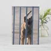 Barking dog (Standing Front)