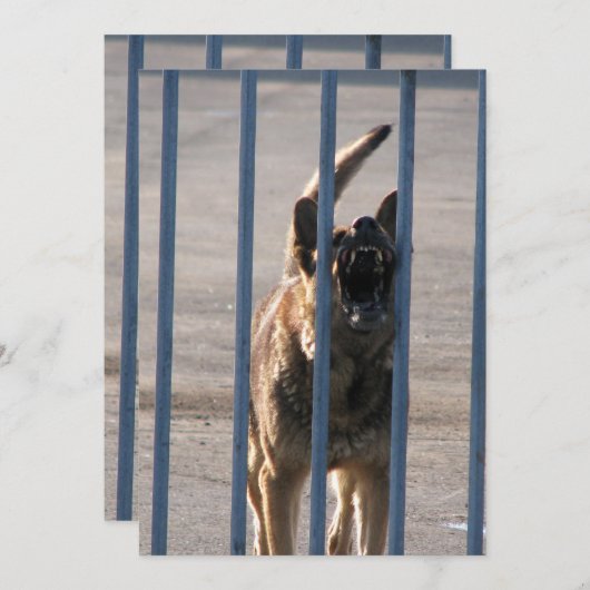 Barking dog (Front/Back)