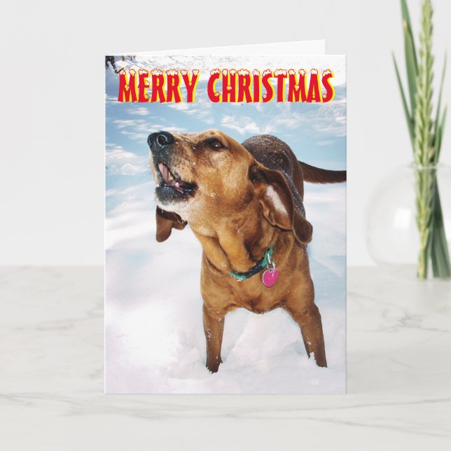 Barking dog in the snow Christmas Card (Front)