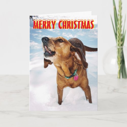 Barking dog in the snow Christmas Card