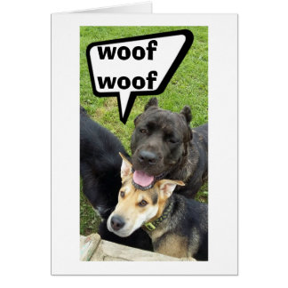 Happy Birthday From The Dog Greeting Cards | Zazzle