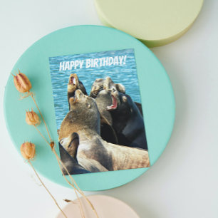 Barking Seal Lions From All Birthday Card