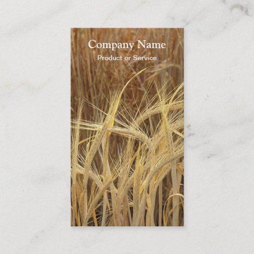 Customizable Barley business card