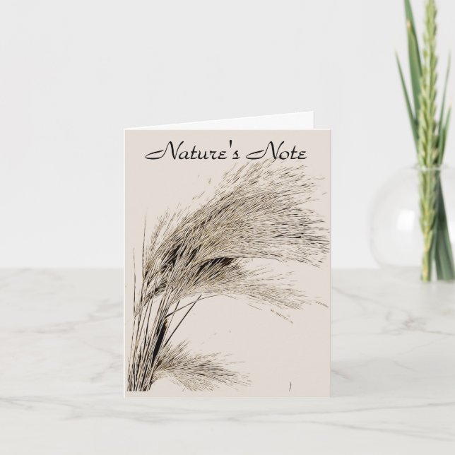 BARLEY GRASS PHOTO NOTE CARD (Front)