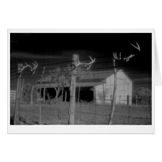 "Barn and Antlers" Cards (Front Horizontal)