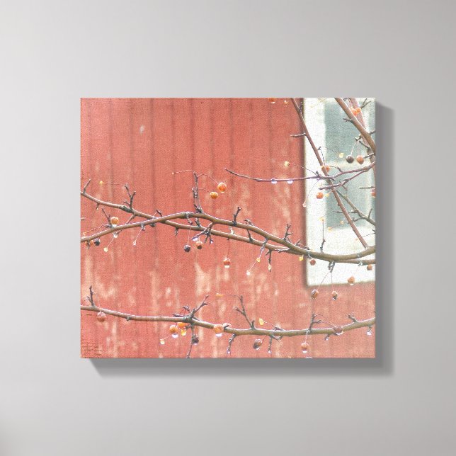 Barn and Berries Canvas Print (Front)