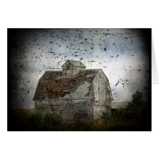 Barn and Birds Cards (Front Horizontal)
