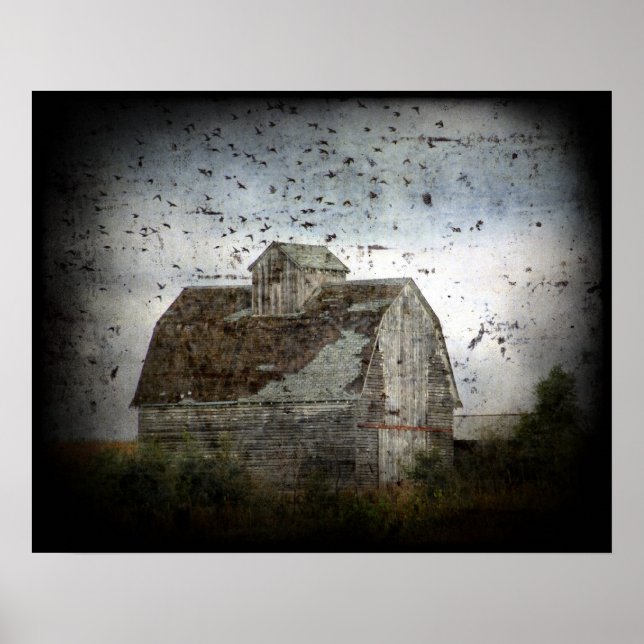 Barn and Birds Grunge Poster (Front)