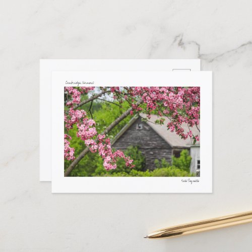 Barn and Blossoms Postcard