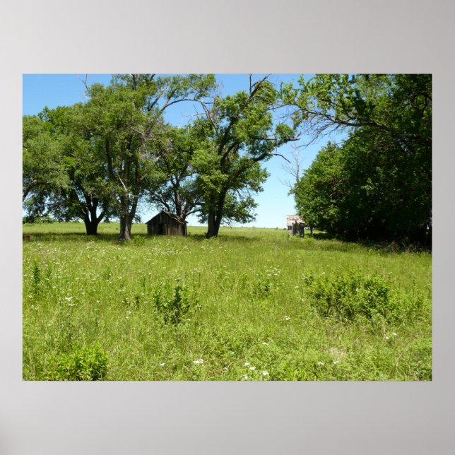 Barn and Outhouse Poster (Front)