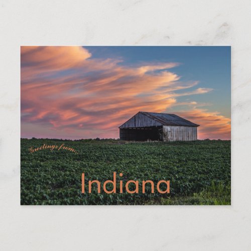 Barn and Soybeans in Indiana at Sunset Postcard