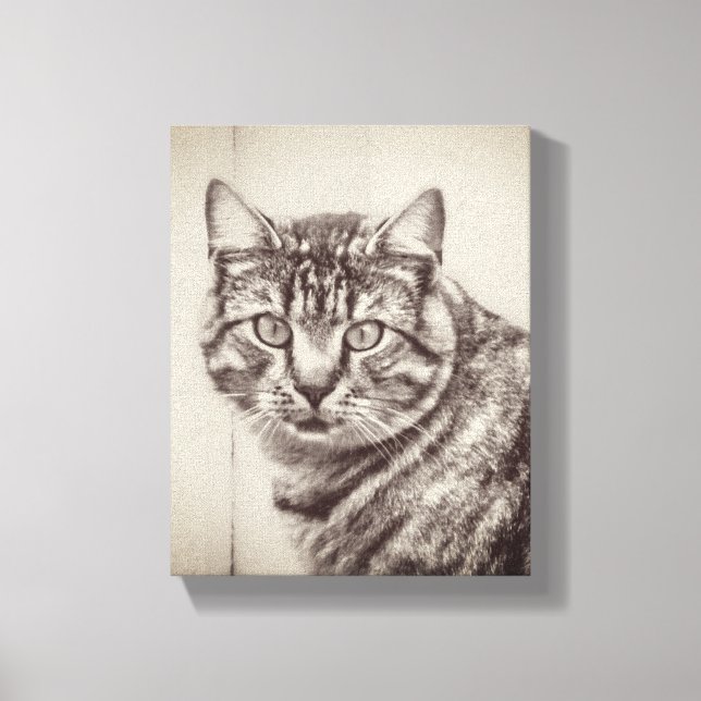 Barn Cat Farm Animals 8 x 10 Canvas Print (Front)