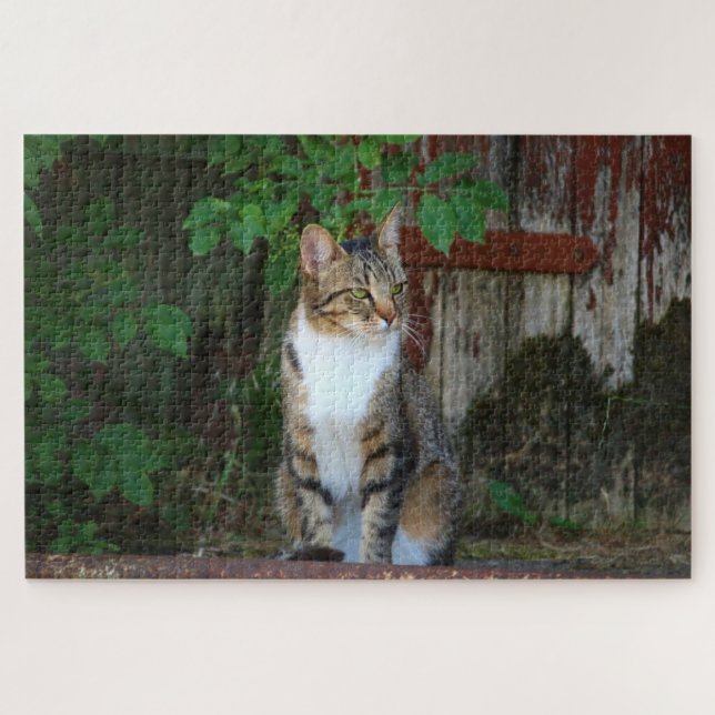 barn cat puzzle (Horizontal)
