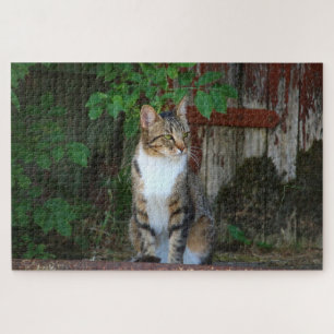 barn cat puzzle 