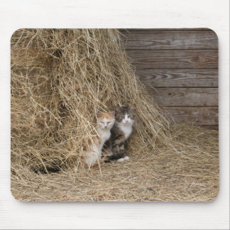 Barn Cats Mouse Pad