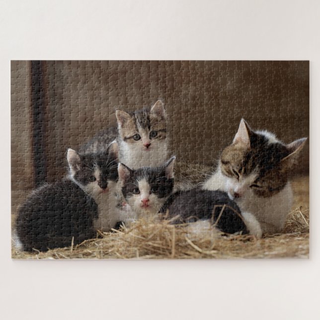 barn cats puzzle (Horizontal)