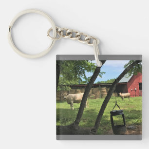 Barn & Cows, Rural North Carolina Canvas Print Mag Keychain