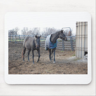 Barn Farm Horse Buddies Mouse Pad