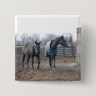 Barn Farm Horses Pinback Button